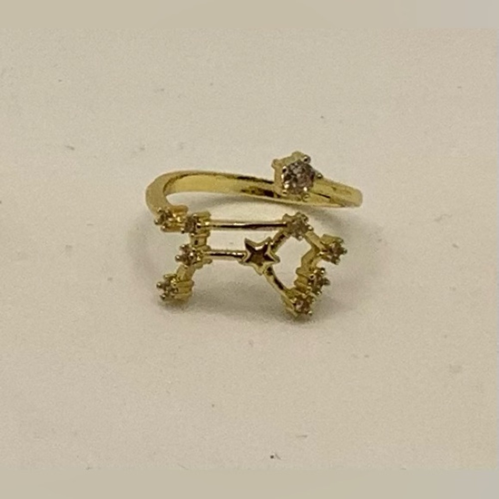 Gold& Pave Adjustable Rings - Picture 2 of 2
